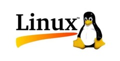 Linux Shell脚本实战：自动化磁盘I/O性能检测