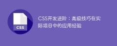 CSS开发进阶：高级技巧在实际项目中的应用经验