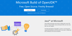 微软发布其开源Java发行版的预览版 源自OpenJDK