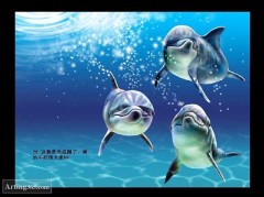 PS鼠绘深海中畅游的美丽海豚