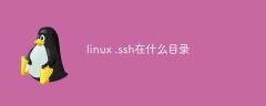 linux .ssh在什么目录
