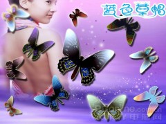 Photoshop鼠绘栩栩如生的蝴蝶