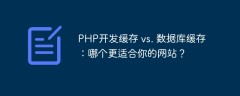 PHP开发缓存 vs. 数据库缓存：哪个更适合你的网站？