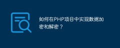 如何在PHP项目中实现数据加密和解密？