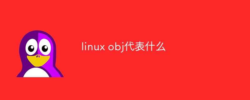 linux obj代表什么