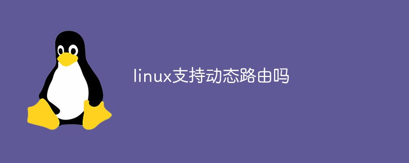 linux支持动态路由吗