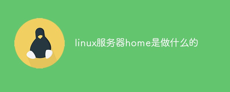 linux服务器home是做什么的