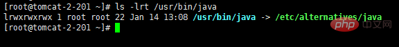 linux jdk目录在哪